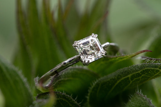 single stone diamond and platinum ring shown on plant